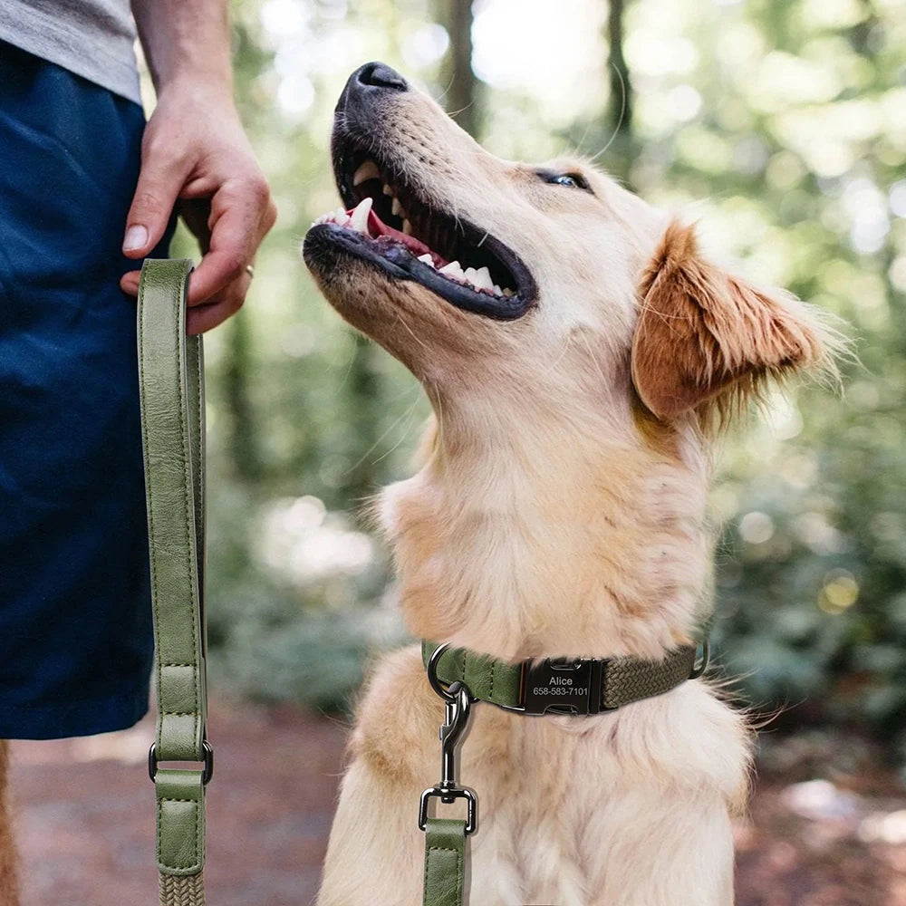 5ft Nylon Dog Leash with Soft PU Leather Handle — 360° Rotatable Hook for Small, Medium & Large Dogs | 6 Colors