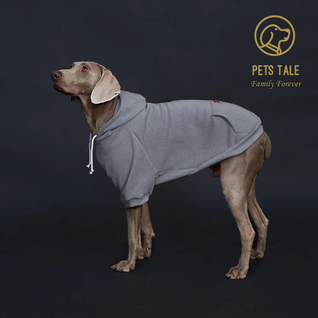 Dog Hoodie with Pocket, Leather Patch, Hook and Loop Fastener Collar -