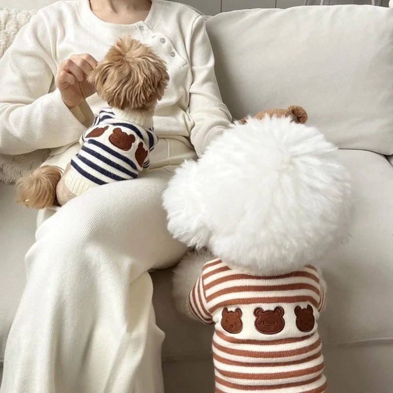 Bear Knit Dog Sweaters