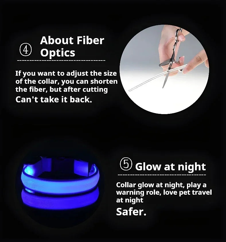 LED Glow Dog Collar & Leash | Nylon Night Safety Flashing Collar