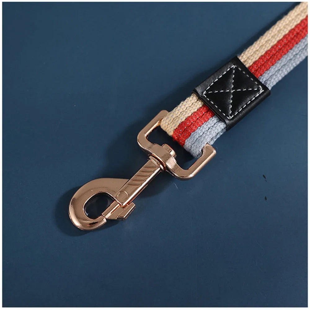 Padded Nylon Dog Training Leash — Strong Traction Lead for Small, Medium & Large Dogs | 4 Colors | 3 Widths | 2 Lengths