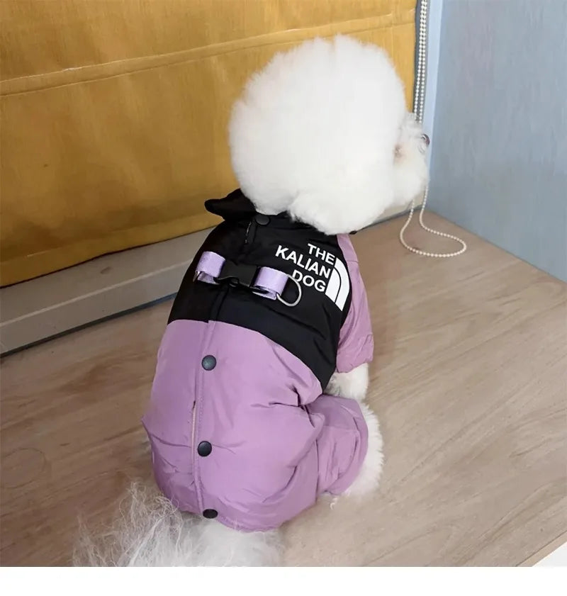 Four Legs Dog Face Design