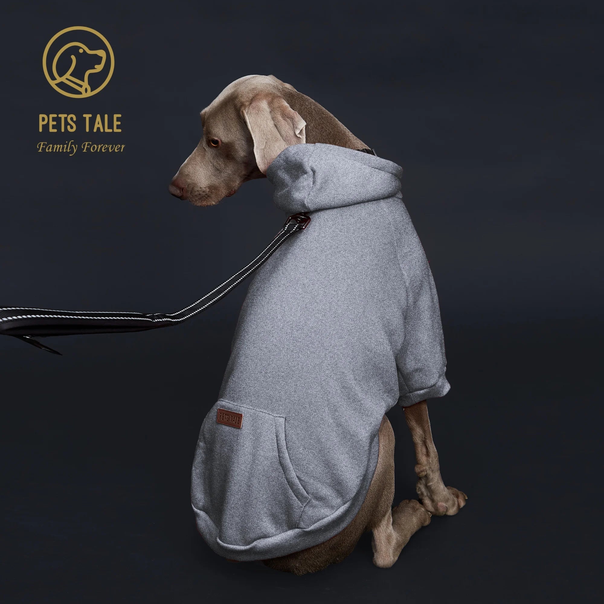 Dog Hoodie with Pocket, Leather Patch, Hook and Loop Fastener Collar -