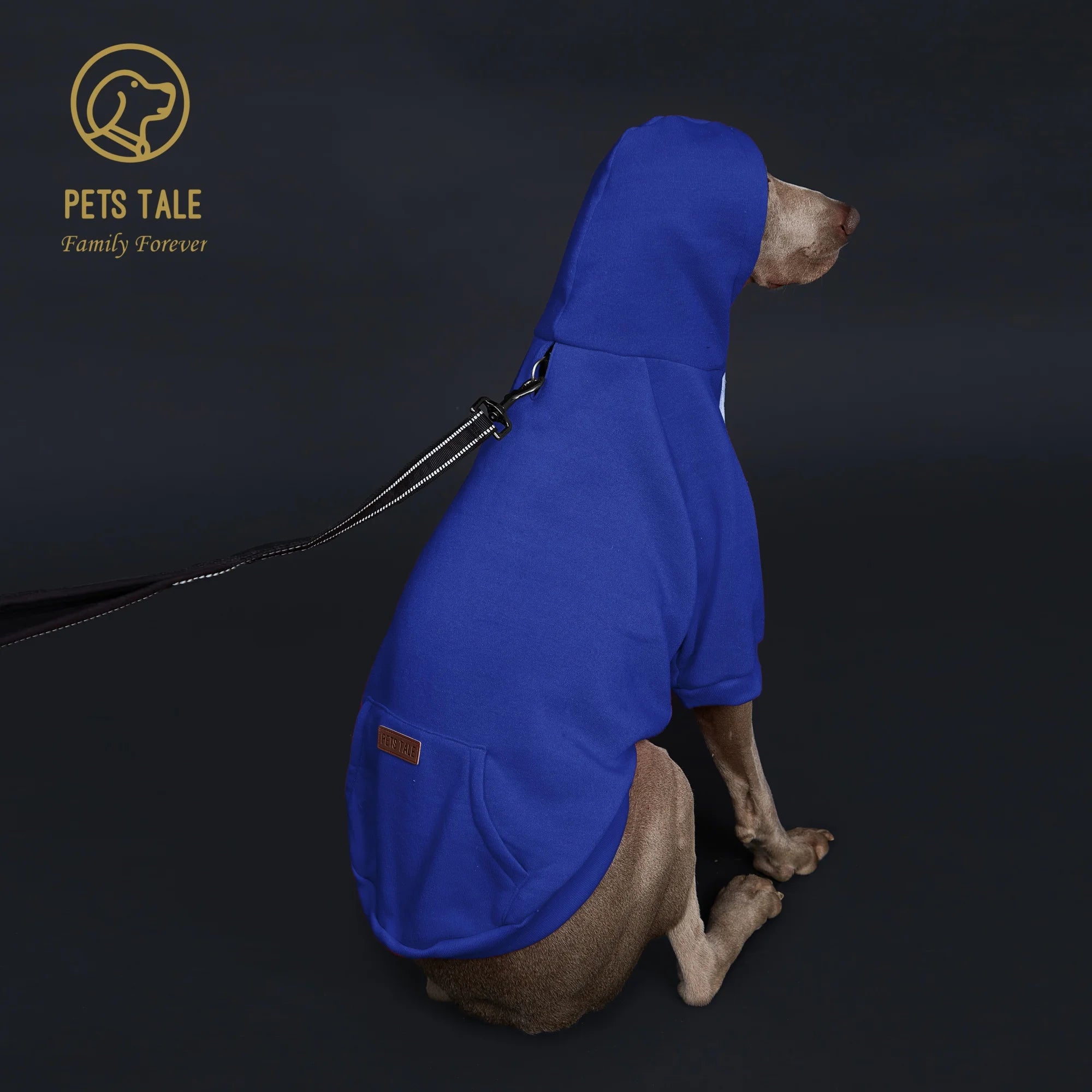 Dog Hoodie with Pocket, Leather Patch, Hook and Loop Fastener Collar -