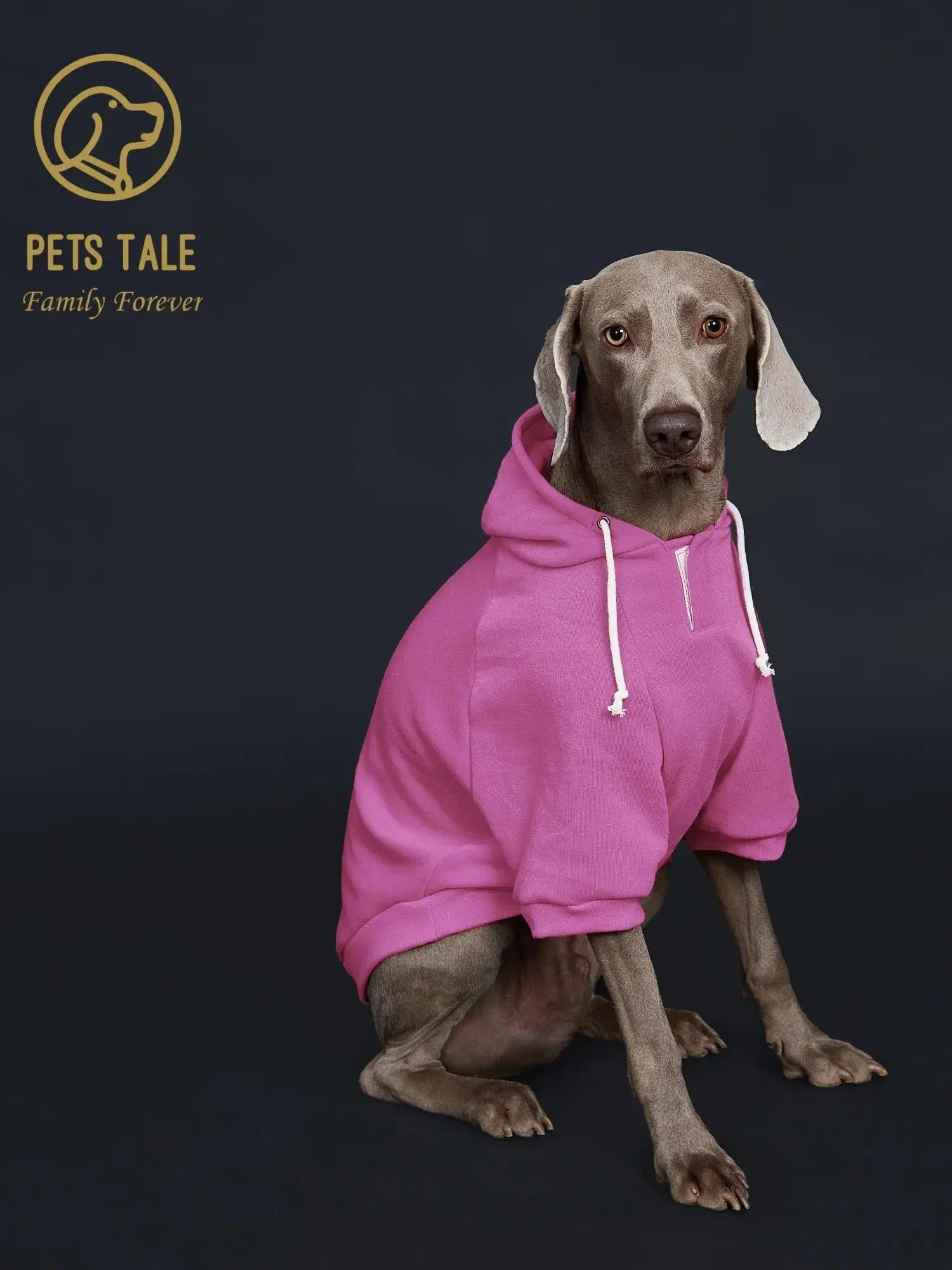 Dog Hoodie with Pocket, Leather Patch, Hook and Loop Fastener Collar -