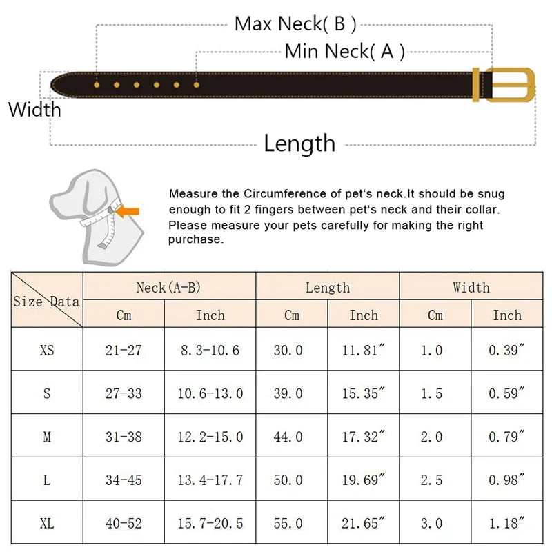 Dog & Cat Collar with Scarf | Adjustable PU Collar | XS–XL