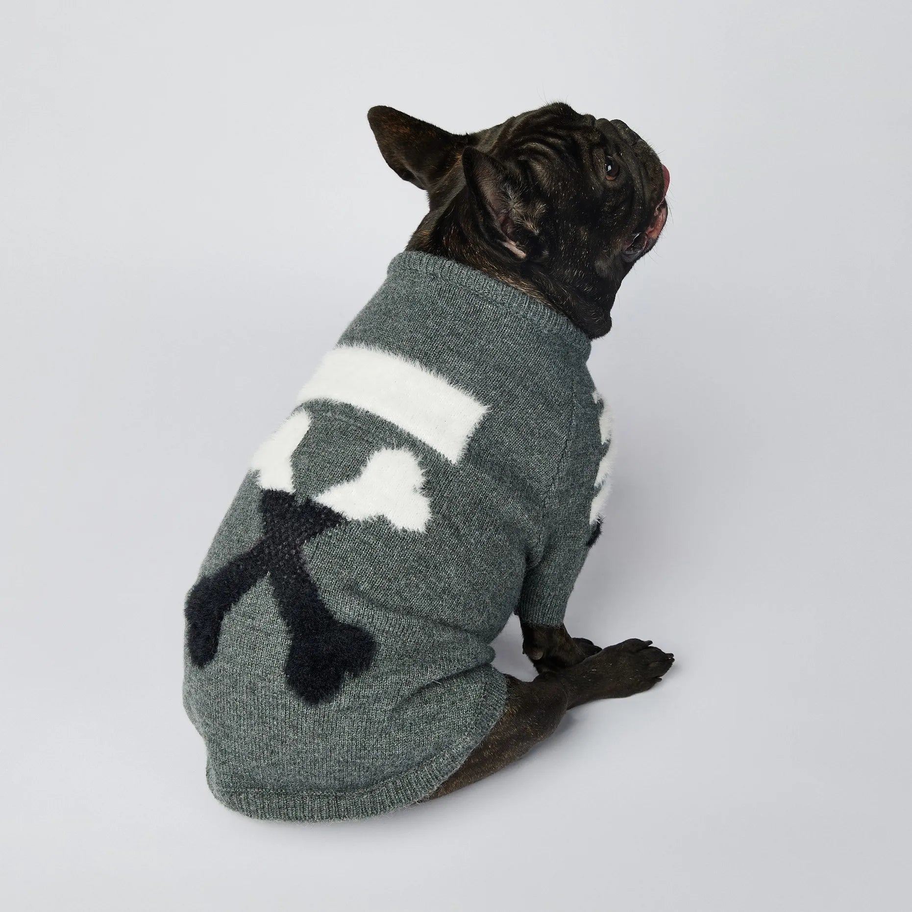 WOOF Knit Dog Sweater — Thick Cotton Jumper for French Bulldogs & Small-Medium Dogs | S–3XL