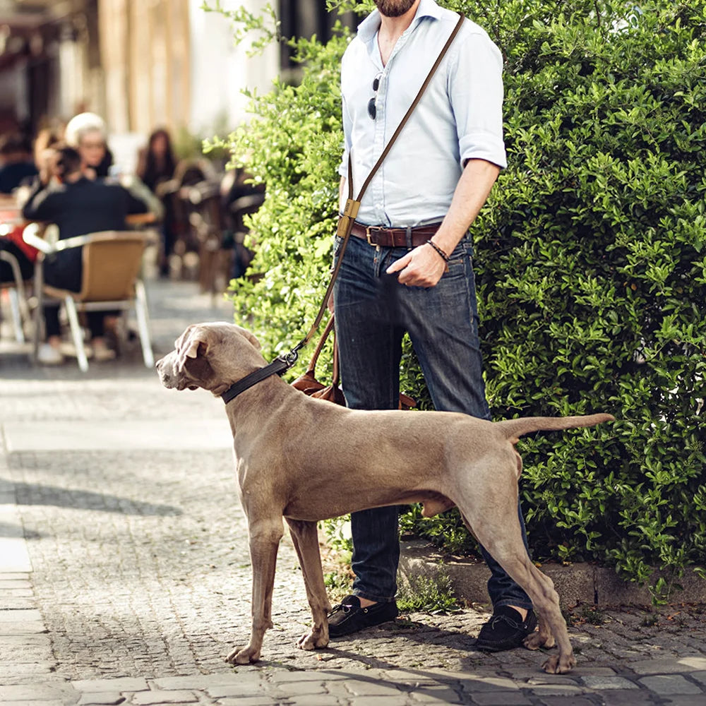 Hands-Free Running Dog Leash with Waist Belt