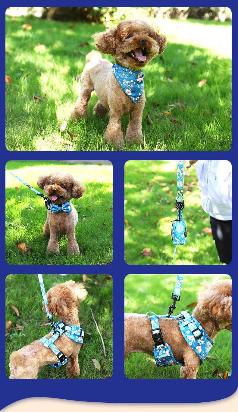 Custom Neoprene Waterproof Padded Mesh Designer Pet Bandana Neck Collar Lead Set Dog Harness Leash