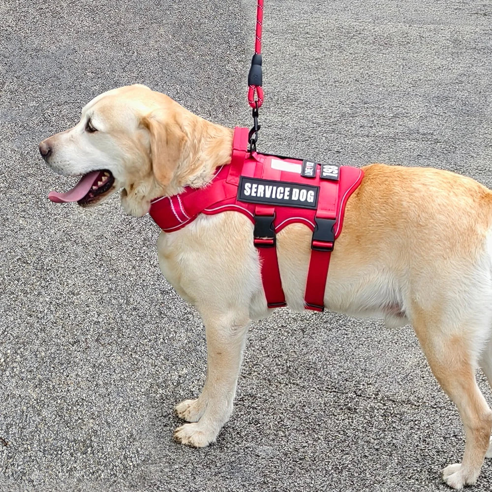 Service Dog Vest & No-Pull Harness with 4 Patches — Reflective, Padded Handle | S, M, L