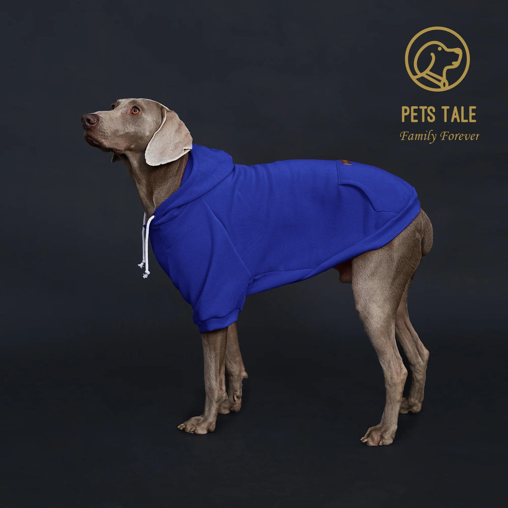 Dog Hoodie with Pocket, Leather Patch, Hook and Loop Fastener Collar -