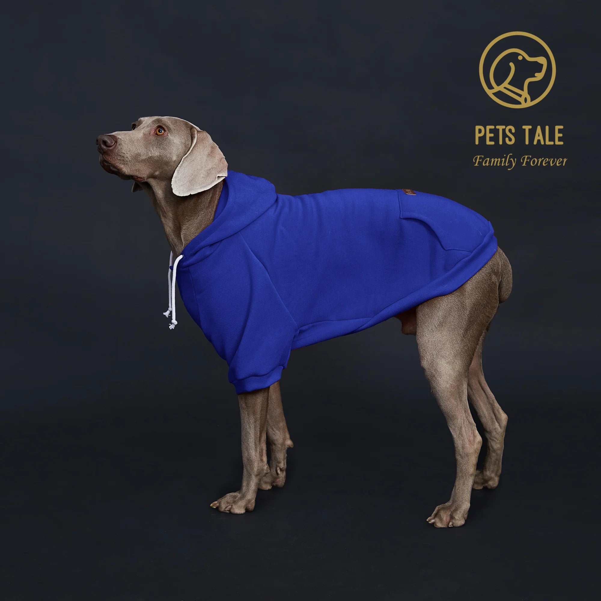 Dog Hoodie with Pocket, Leather Patch, Hook and Loop Fastener Collar -