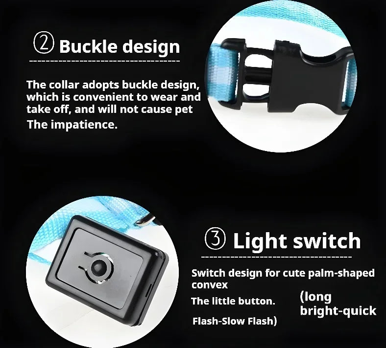 LED Glow Dog Collar & Leash | Nylon Night Safety Flashing Collar