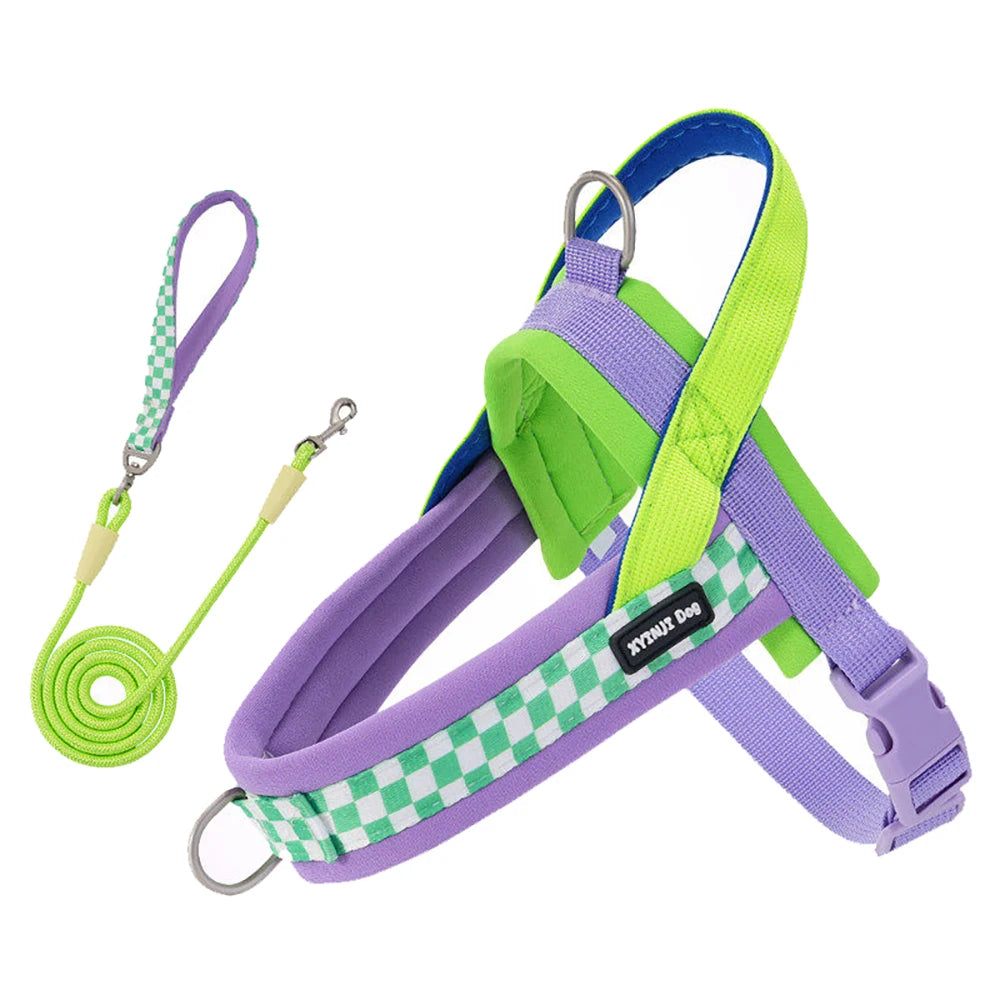 Plaid Saddle-Style Puppy Harness & Leash Set