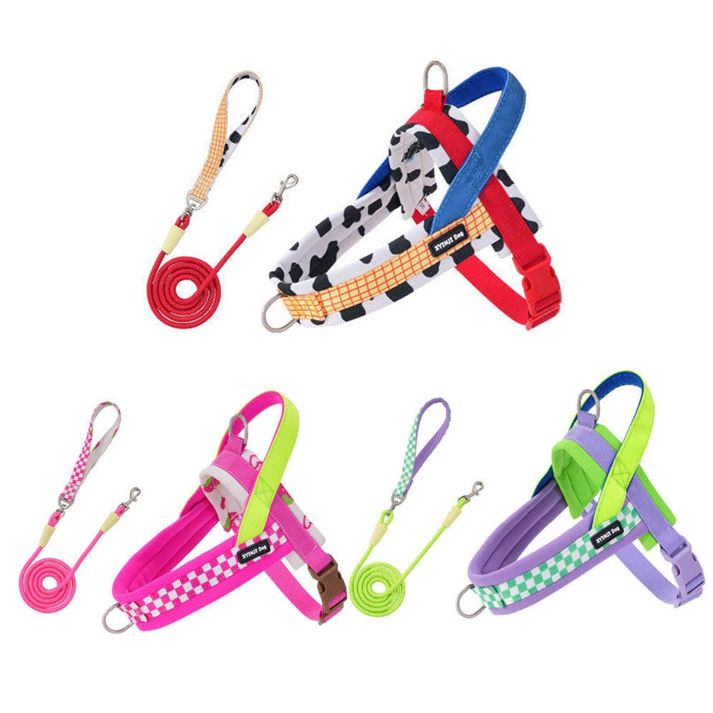Plaid Saddle-Style Puppy Harness & Leash Set