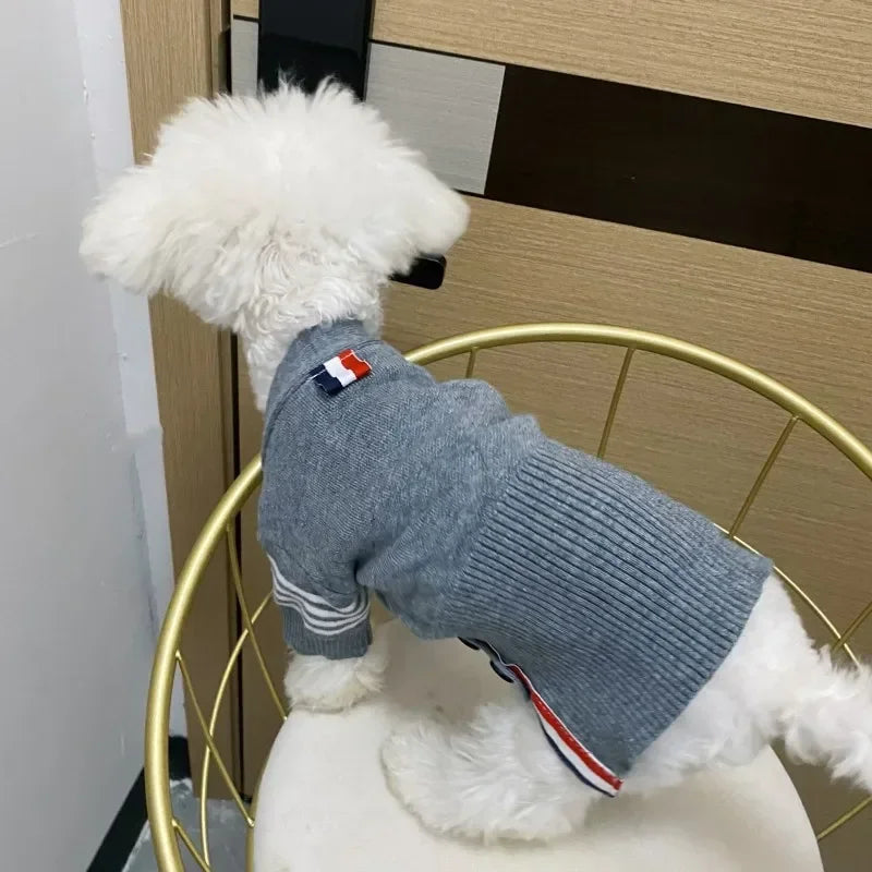 Designer Pullover Pet Sweater