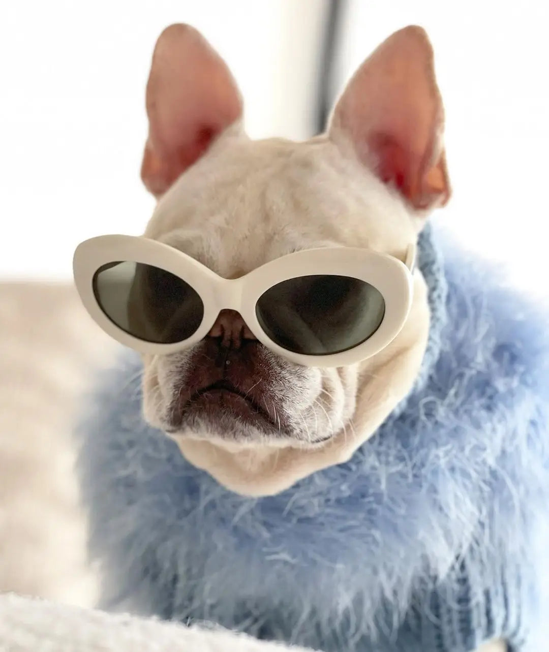 Luxury Fur Dog Coat — Warm Core Yarn Sweater for French Bulldogs, Pugs & Small Breeds | Autumn & Winter | 3 Colors