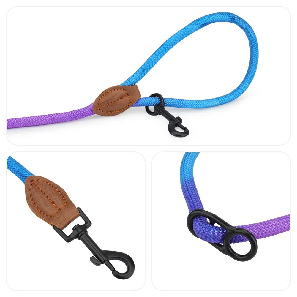 Hands-Free Crossbody Double Dog Leash — Adjustable Nylon Running & Walking Leash | 5 Prints | 92.5"