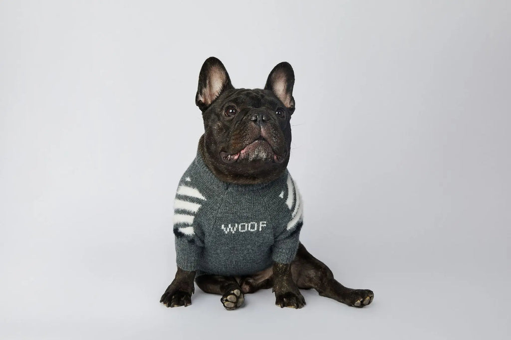 WOOF Knit Dog Sweater — Thick Cotton Jumper for French Bulldogs & Small-Medium Dogs | S–3XL
