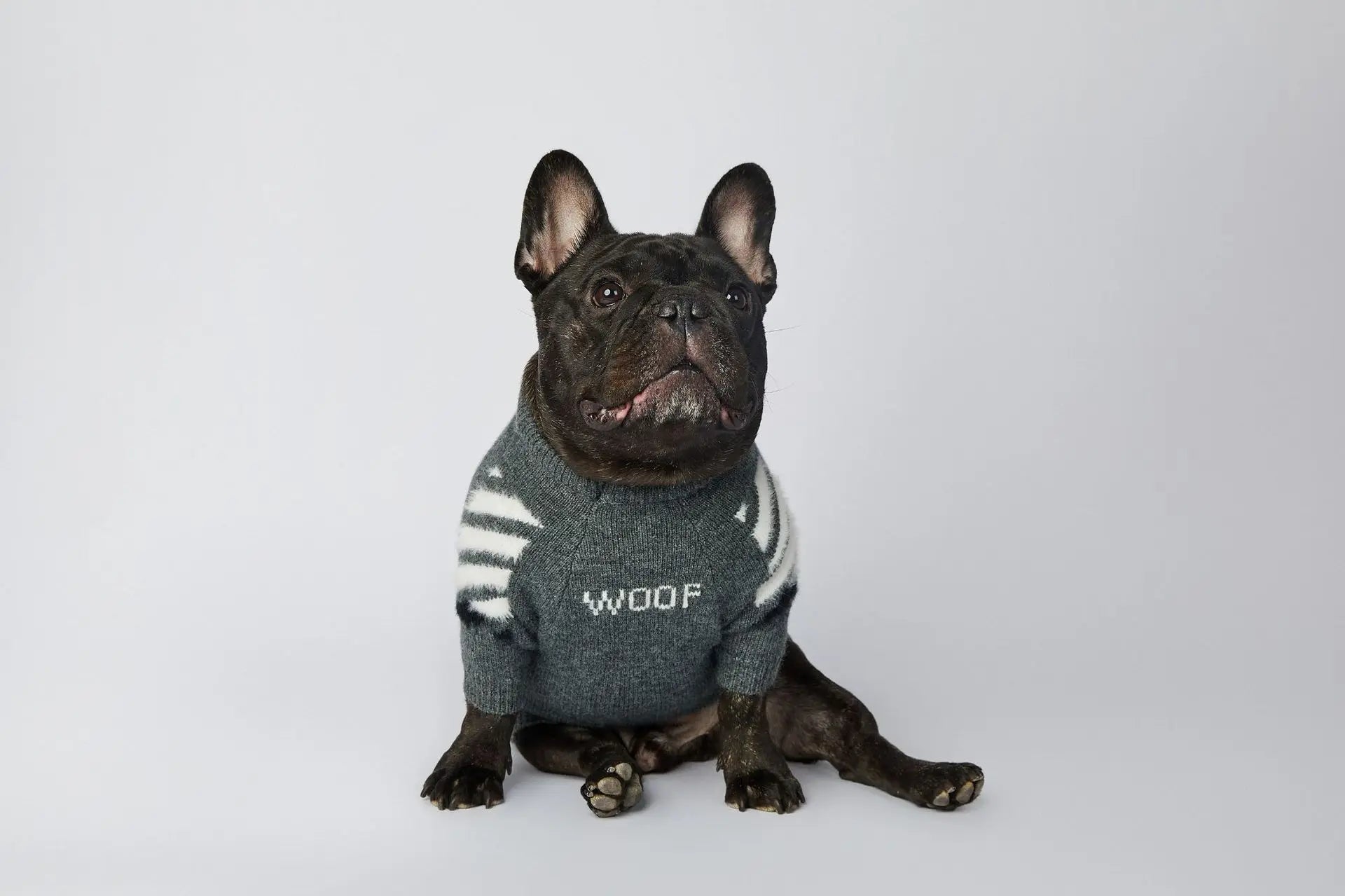 WOOF Knit Dog Sweater — Thick Cotton Jumper for French Bulldogs & Small-Medium Dogs | S–3XL