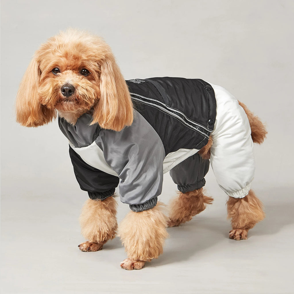 Winter Dog Jacket