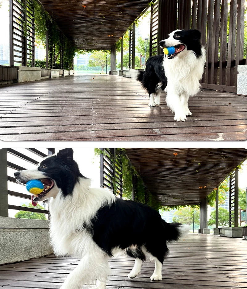 Squeaky Dog Ball Toy — Soft TPR Bite-Resistant Chew Toy for Teeth Cleaning & Interactive Play
