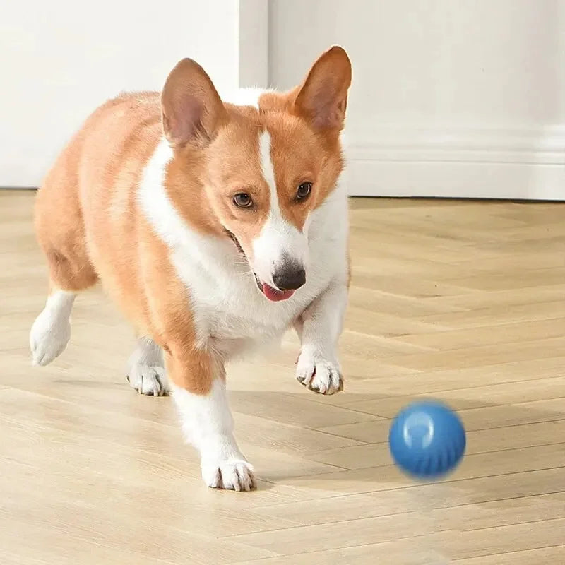 Smart Interactive Bouncing Ball Toy — USB Rechargeable Auto-Moving Ball for SmallDogs & Cats | 3-Hour Playtime | Dual Mode￼ (please observe pets when playing with this toy)