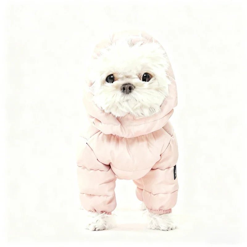 Korean Teddy Poodle Small Dog Pet Dog Winter Clothes Four Legged Coat Thick Down Cotton Jacket for Warmth and Cold Protection
