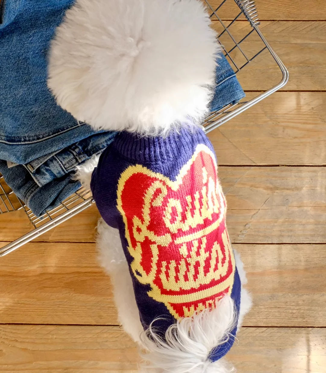 High Quality Design Dog