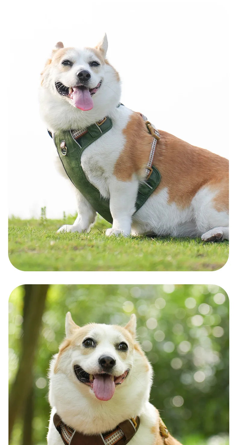 Retro leather pet chest strap, explosion-proof, reflective dog chest and back, breathable and adjustable Fashioned Furbabies