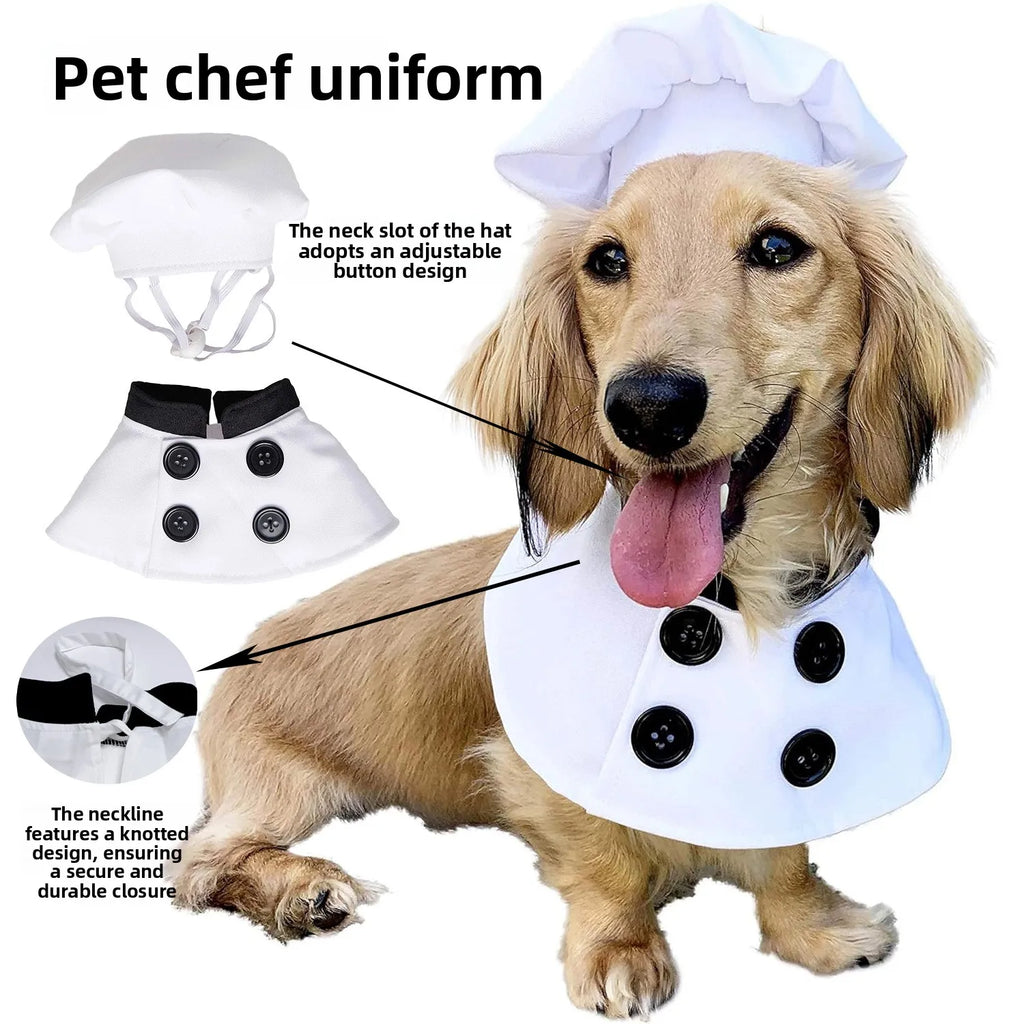 Pet Chef Costume for Cats & Dogs | Cute Chef Hat & Bib Cosplay Outfit for Small to Medium Pets