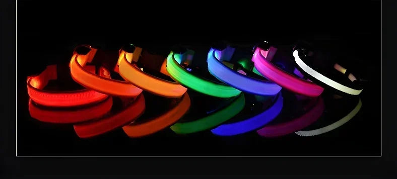 LED Glow Dog Collar & Leash | Nylon Night Safety Flashing Collar