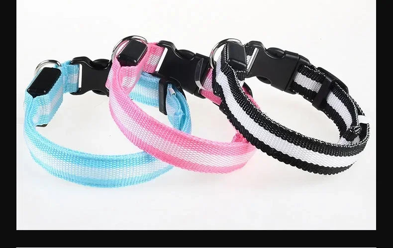 LED Glow Dog Collar & Leash | Nylon Night Safety Flashing Collar