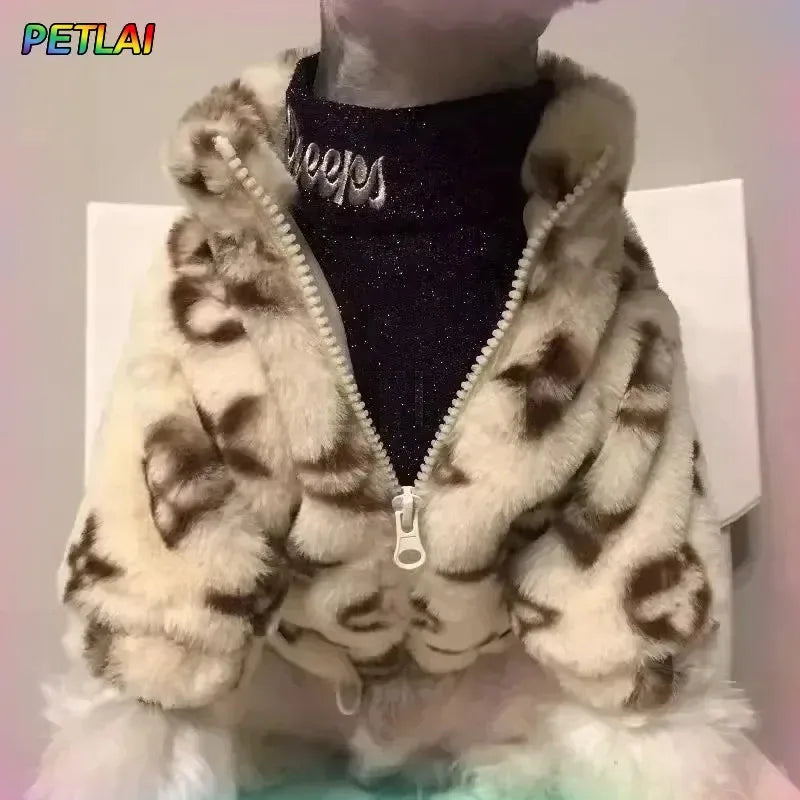 Aristocratic jacket design small pet