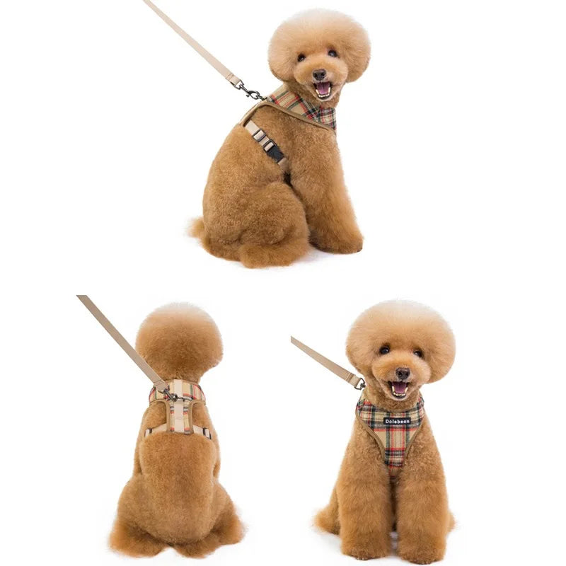 Dog Harness & Leash Set — Soft Vest with 47" Leash for Small & Medium Dogs | Lattice, Denim, Velvet & Print Styles