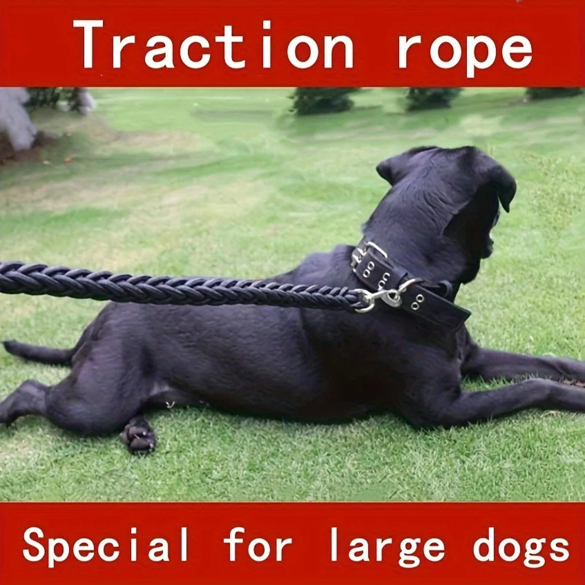 Braided Training Dog Leash
