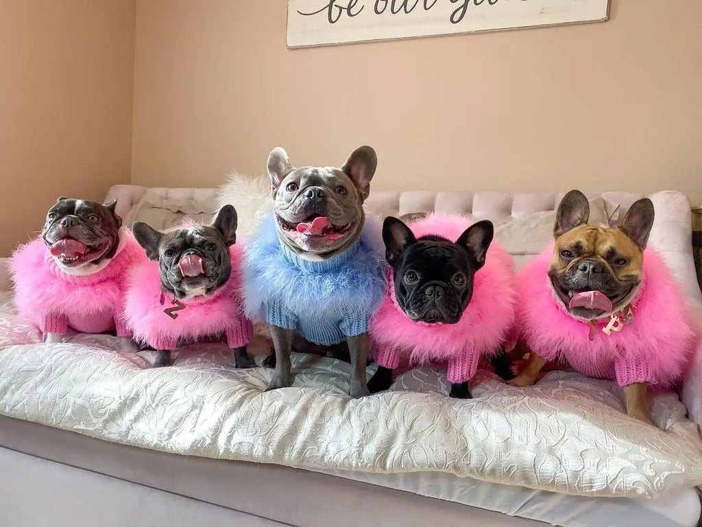 Luxury Fur Dog Coat — Warm Core Yarn Sweater for French Bulldogs, Pugs & Small Breeds | Autumn & Winter | 3 Colors