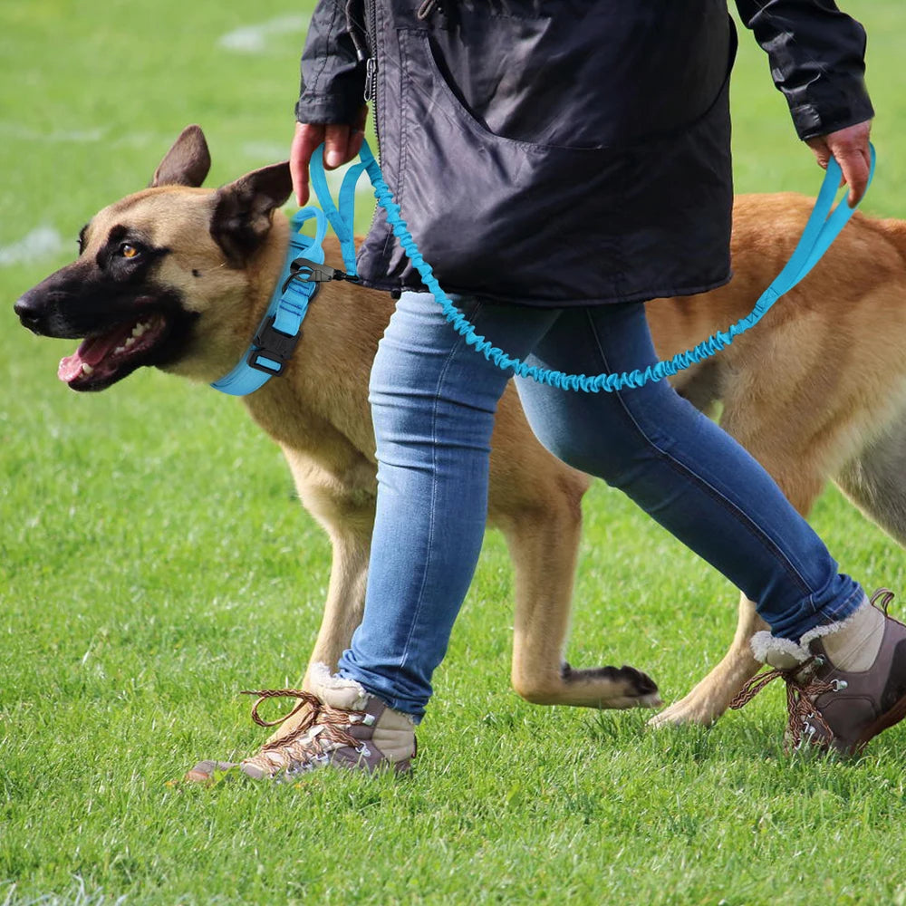 Durable Military Tactical Dog Collar Bungee Leash Set Pet Nylon Walking Training Collar For Medium Large Dogs German Shepard Fashioned Furbabies