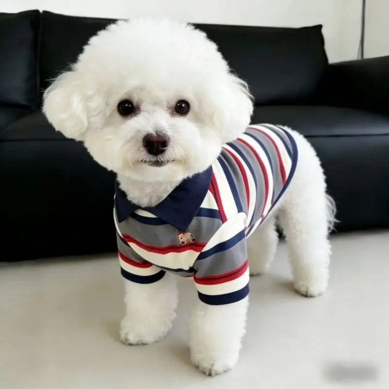Summer Short-Sleeve Dog Vest & T-Shirt — Breathable Cooling Wear for Dogs | S–3XL