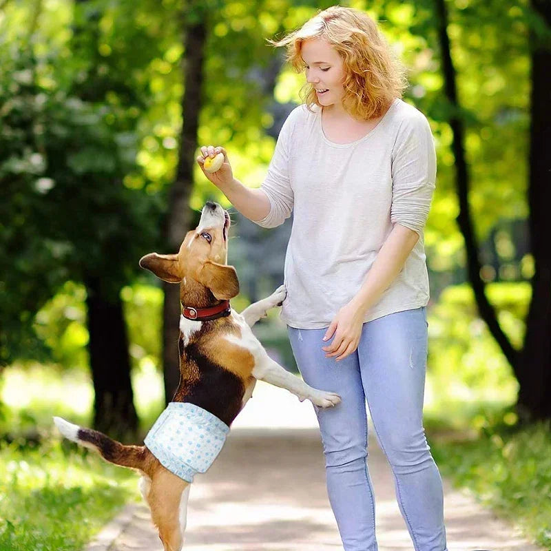 Disposable Dog Diapers — Super Absorbent Leakproof Nappies for Male & Female Dogs | 10-Pack