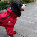 Waterproof Reflective Dog Raincoat - Winter Jumpsuit