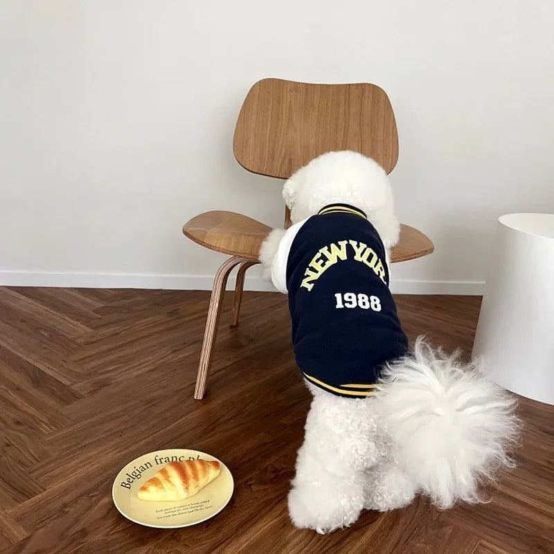 Colorblock Baseball Jacket for Small Dogs — Fleece Letter Print Coat | XS–XL