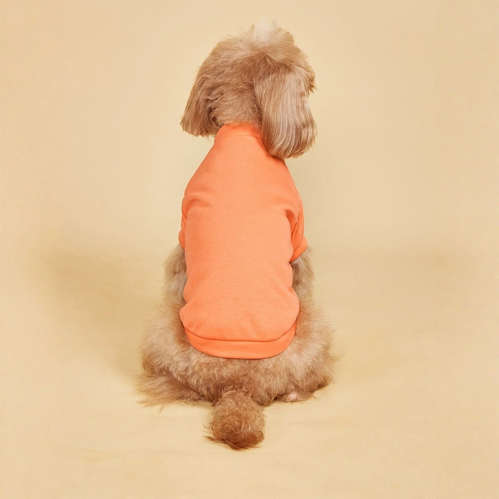 Lightweight Dog T-Shirt