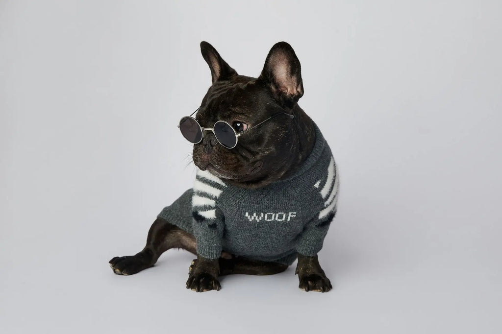 WOOF Knit Dog Sweater — Thick Cotton Jumper for French Bulldogs & Small-Medium Dogs | S–3XL