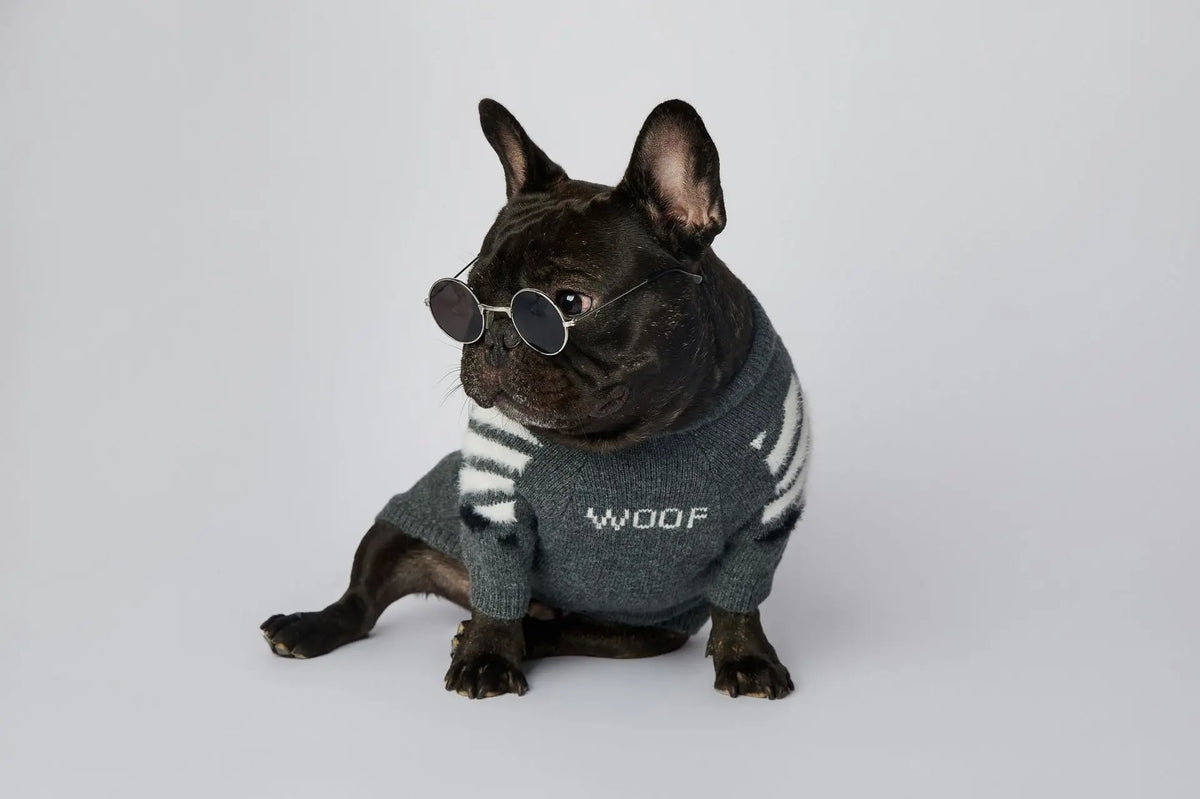 WOOF Knit Dog Sweater — Thick Cotton Jumper for French Bulldogs & Small-Medium Dogs | S–3XL
