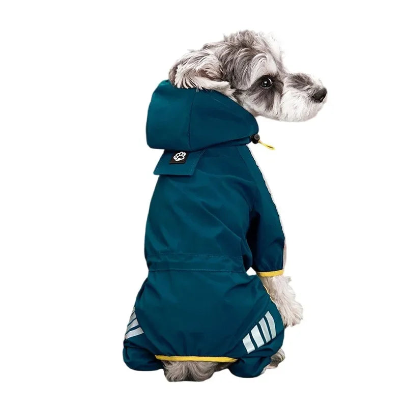 Raincoats Dog Reflective