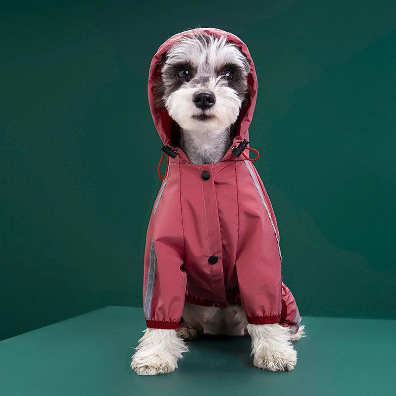 Raincoats Dog Reflective