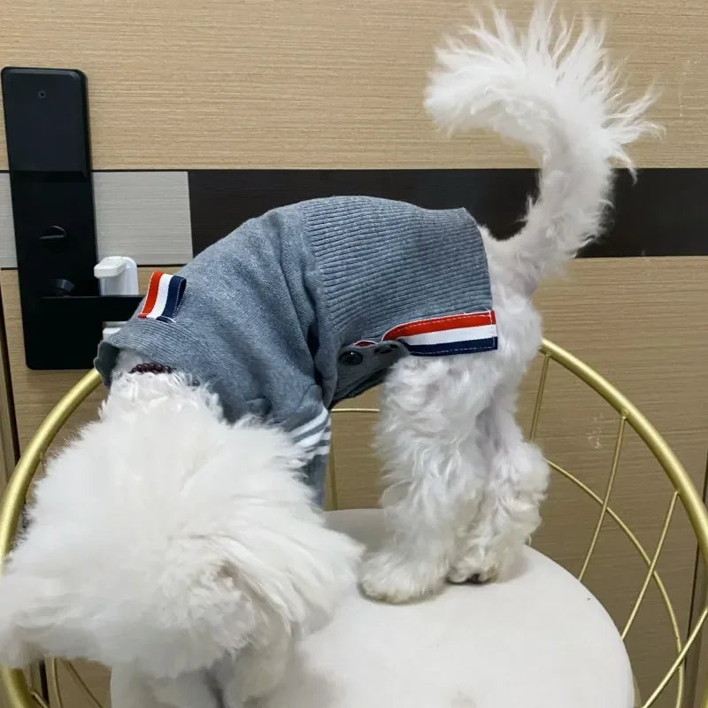 Designer Pullover Pet Sweater
