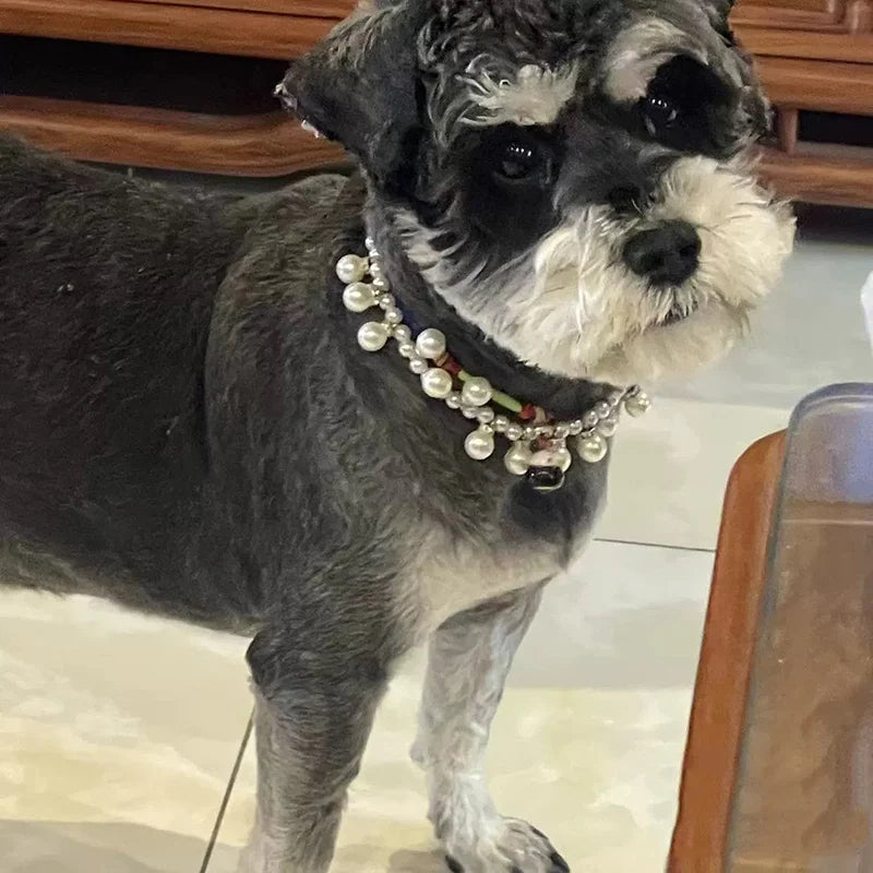 Luxury Pearl & Rhinestone Dog Necklace Collar | Bling Pet Collar | S–L