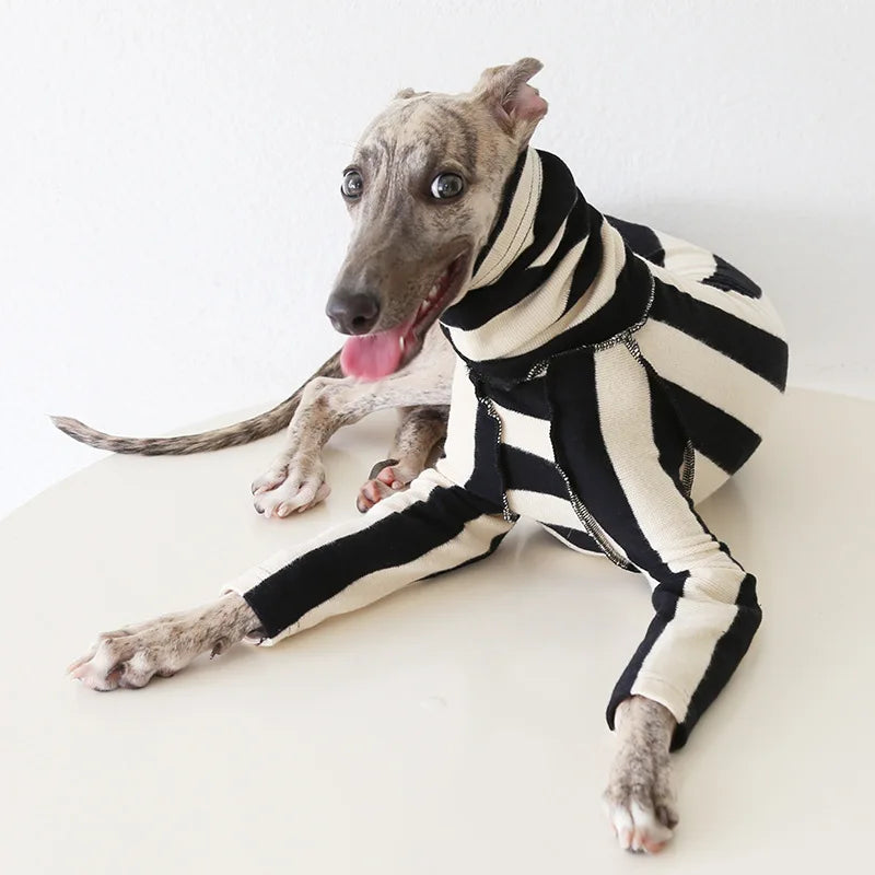 Winter Knitted Thing Dog Greyhound 2 Legged  Long Sleeve Pet Shirts Slim Dog Whibitt Pajamas Sweatshirts Knitwear